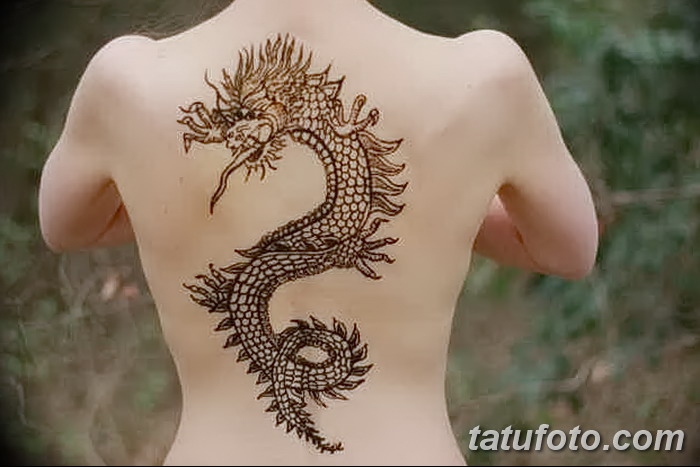 фото дракон хной от 02.08.2017 №038 - Dragon henna_tatufoto.com