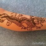 фото дракон хной от 02.08.2017 №052 - Dragon henna_tatufoto.com