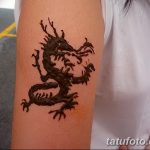 фото дракон хной от 02.08.2017 №061 - Dragon henna_tatufoto.com