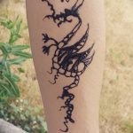 фото дракон хной от 02.08.2017 №065 - Dragon henna_tatufoto.com