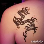 фото дракон хной от 02.08.2017 №066 - Dragon henna_tatufoto.com