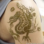 фото дракон хной от 02.08.2017 №068 - Dragon henna_tatufoto.com