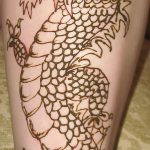 фото дракон хной от 02.08.2017 №083 - Dragon henna_tatufoto.com