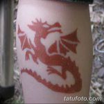 фото дракон хной от 02.08.2017 №094 - Dragon henna_tatufoto.com