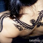 фото дракон хной от 02.08.2017 №101 - Dragon henna_tatufoto.com