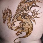 фото дракон хной от 02.08.2017 №106 - Dragon henna_tatufoto.com