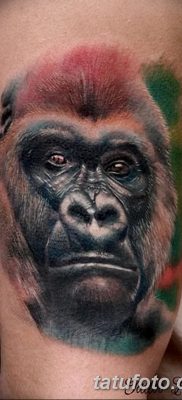 фото тату горилла от 27.08.2017 №001 — Gorilla tattoo — tatufoto.com