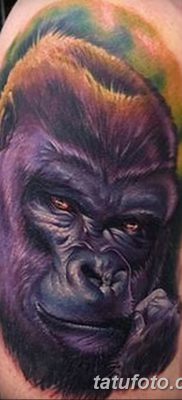 фото тату горилла от 27.08.2017 №003 — Gorilla tattoo — tatufoto.com