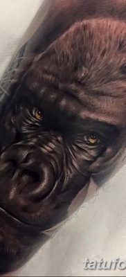 фото тату горилла от 27.08.2017 №004 — Gorilla tattoo — tatufoto.com