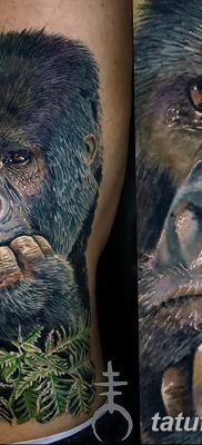фото тату горилла от 27.08.2017 №005 — Gorilla tattoo — tatufoto.com