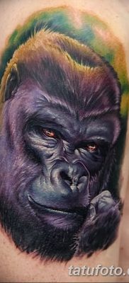 фото тату горилла от 27.08.2017 №009 — Gorilla tattoo — tatufoto.com