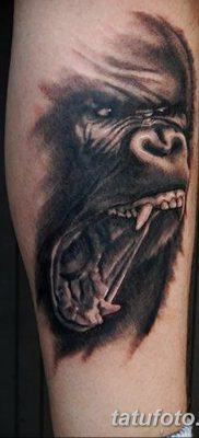 фото тату горилла от 27.08.2017 №012 — Gorilla tattoo — tatufoto.com