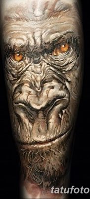 фото тату горилла от 27.08.2017 №014 — Gorilla tattoo — tatufoto.com