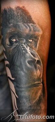 фото тату горилла от 27.08.2017 №015 — Gorilla tattoo — tatufoto.com