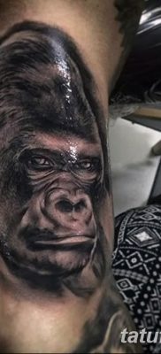 фото тату горилла от 27.08.2017 №016 — Gorilla tattoo — tatufoto.com