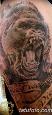 фото тату горилла от 27.08.2017 №020 — Gorilla tattoo — tatufoto.com