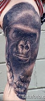 фото тату горилла от 27.08.2017 №021 — Gorilla tattoo — tatufoto.com