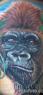 фото тату горилла от 27.08.2017 №023 — Gorilla tattoo — tatufoto.com