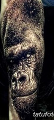 фото тату горилла от 27.08.2017 №027 — Gorilla tattoo — tatufoto.com