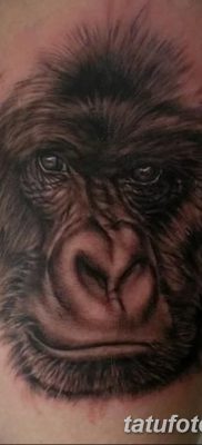 фото тату горилла от 27.08.2017 №030 — Gorilla tattoo — tatufoto.com