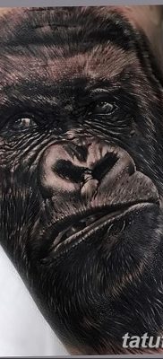 фото тату горилла от 27.08.2017 №036 — Gorilla tattoo — tatufoto.com
