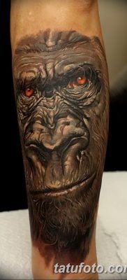 фото тату горилла от 27.08.2017 №039 — Gorilla tattoo — tatufoto.com