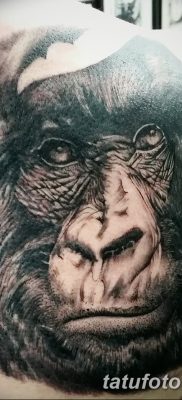 фото тату горилла от 27.08.2017 №041 — Gorilla tattoo — tatufoto.com