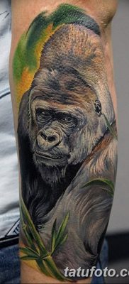 фото тату горилла от 27.08.2017 №049 — Gorilla tattoo — tatufoto.com