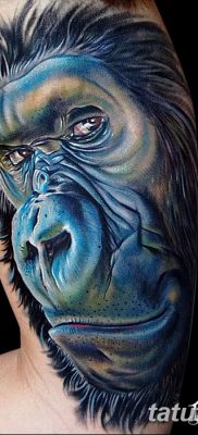 фото тату горилла от 27.08.2017 №058 — Gorilla tattoo — tatufoto.com