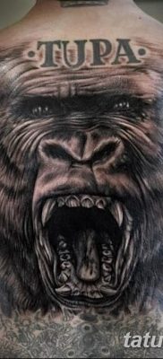 фото тату горилла от 27.08.2017 №060 — Gorilla tattoo — tatufoto.com