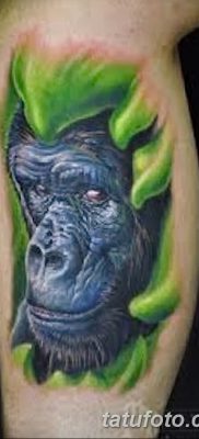 фото тату горилла от 27.08.2017 №064 — Gorilla tattoo — tatufoto.com