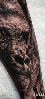 фото тату горилла от 27.08.2017 №069 — Gorilla tattoo — tatufoto.com