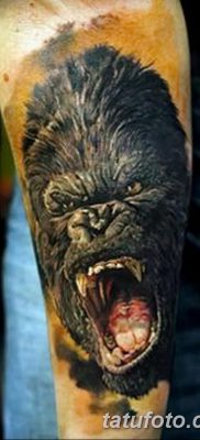 фото тату горилла от 27.08.2017 №073 — Gorilla tattoo — tatufoto.com