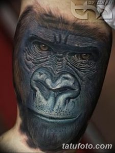 Фото тату реалистичной морды гориллы на руке. Черно-серые тона, детализированная проработка шерсти и морщин.