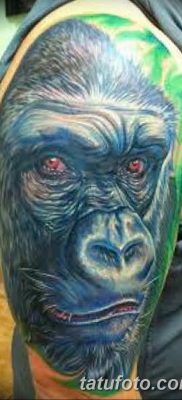 фото тату горилла от 27.08.2017 №112 — Gorilla tattoo — tatufoto.com