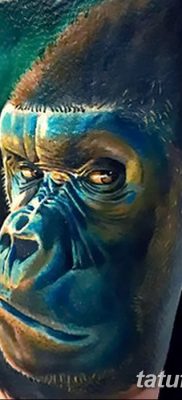 фото тату горилла от 27.08.2017 №113 — Gorilla tattoo — tatufoto.com