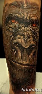 фото тату горилла от 27.08.2017 №115 — Gorilla tattoo — tatufoto.com