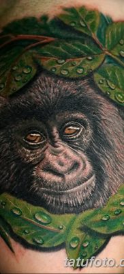 фото тату горилла от 27.08.2017 №119 — Gorilla tattoo — tatufoto.com
