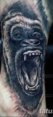 фото тату горилла от 27.08.2017 №120 — Gorilla tattoo — tatufoto.com