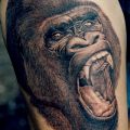 фото тату горилла от 27.08.2017 №121 - Gorilla tattoo - tatufoto.com