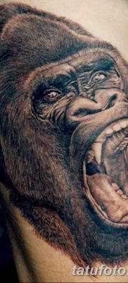 фото тату горилла от 27.08.2017 №121 — Gorilla tattoo — tatufoto.com