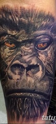 фото тату горилла от 27.08.2017 №123 — Gorilla tattoo — tatufoto.com