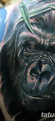 фото тату горилла от 27.08.2017 №124 — Gorilla tattoo — tatufoto.com