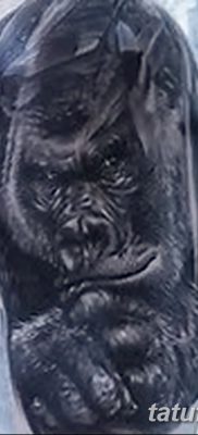 фото тату горилла от 27.08.2017 №130 — Gorilla tattoo — tatufoto.com