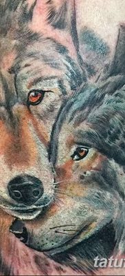 фото тату два волка от 19.08.2017 №007 — Tattoo two wolves_tatufoto.com