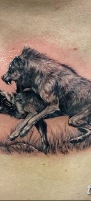 фото тату два волка от 19.08.2017 №012 — Tattoo two wolves_tatufoto.com