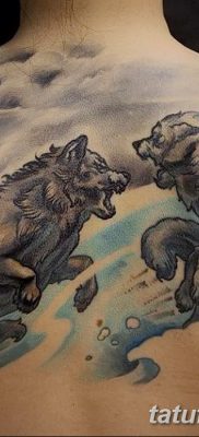 фото тату два волка от 19.08.2017 №013 — Tattoo two wolves_tatufoto.com