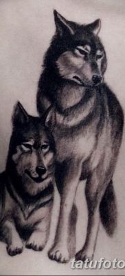 фото тату два волка от 19.08.2017 №014 — Tattoo two wolves_tatufoto.com