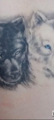фото тату два волка от 19.08.2017 №016 — Tattoo two wolves_tatufoto.com