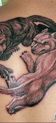 фото тату два волка от 19.08.2017 №027 — Tattoo two wolves_tatufoto.com